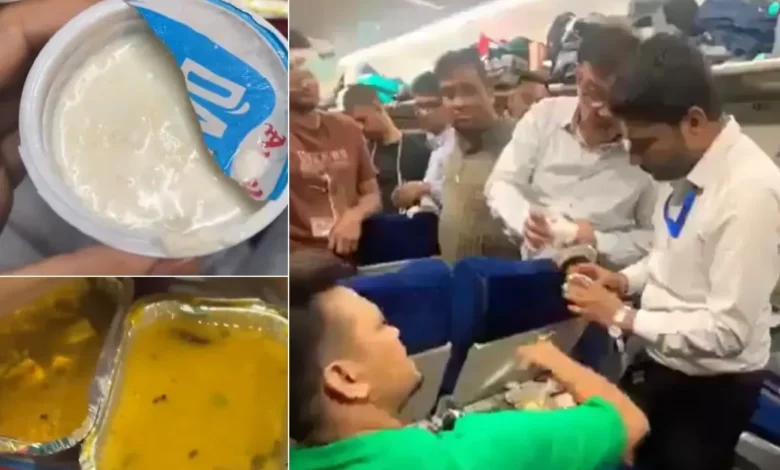 Insect Found In Curd :
