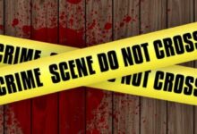 Photo of Jind Murder Case : जींद में चाची की चाकू मारकर हत्या, मुर्गे चोरी को लेकर बढ़ा तनाव