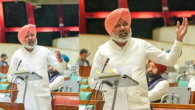Photo of पंजाब में युवाओं को 63,000 से अधिक सरकारी नौकरियां, प्रमुख स्रोतों से राजस्व को दोगुना किया- हरपाल सिंह चीमा