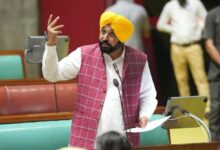 Photo of भारत-अमेरिका व्यापार समझौता तीन काले कृषि कानूनों से भी अधिक खतरनाक- सीएम मान