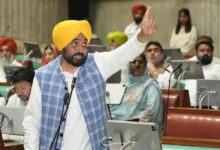 Photo of मुफ्त बिजली, मुफ्त बस यात्रा, मुफ्त इलाज और 10 लाख रुपये की स्वास्थ्य योजना बनाएगी महिलाओं को सशक्त- सीएम मान