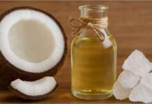 Photo of नारियल तेल और फिटकरी से स्किन के अद्भुत फायदे, जानें इसके फायदे और इस्तेमाल करने का तरीका