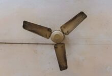 Photo of गर्मी से पहले कर लें पंखों की मरम्मत, नहीं तो हो जाएंगे परेशान