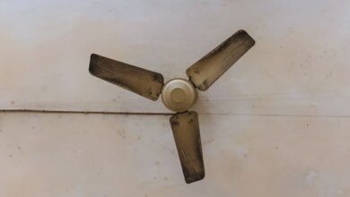 Photo of गर्मी से पहले कर लें पंखों की मरम्मत, नहीं तो हो जाएंगे परेशान