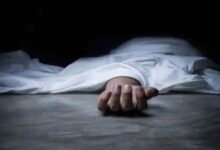 Photo of Weather Update : बिजली गिरने से मजदूर की मौत, 25 वर्षीय रेखा घायल