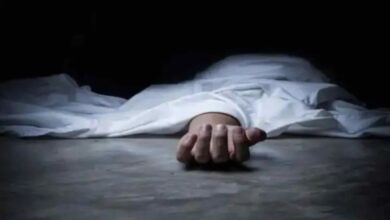 Photo of Weather Update : बिजली गिरने से मजदूर की मौत, 25 वर्षीय रेखा घायल