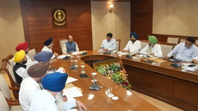 Photo of मोहिंदर भगत ने बागवानी परियोजनाओं की प्रगति संबंधी अधिकारियों के साथ की समीक्षा बैठक, दिए ये निर्देश