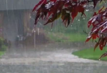 Photo of उत्तर भारत में बदला मौसम, बारिश, बर्फबारी और तेज हवाओं से मिली गर्मी में राहत