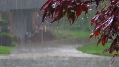 Photo of उत्तर भारत में बदला मौसम, बारिश, बर्फबारी और तेज हवाओं से मिली गर्मी में राहत