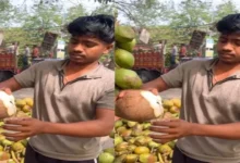 Photo of नारियल खरीदने का आसान तरीका : लड़के ने समझाया पूरा गणित
