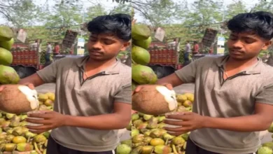 Photo of नारियल खरीदने का आसान तरीका : लड़के ने समझाया पूरा गणित