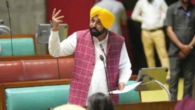 Photo of भारत-अमेरिका व्यापार समझौता तीन काले कृषि कानूनों से भी अधिक खतरनाक : CM भगवंत मान