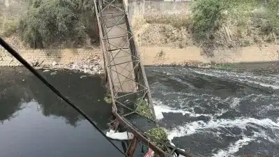 Bridge Collapse News :