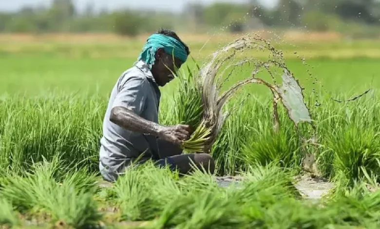 PM Fasal Bima Yojana :