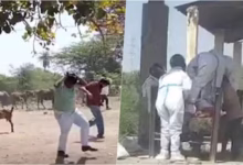 Photo of मधुमक्खियों का डबल अटैक, अंतिम संस्कार के दौरान फिर हमला, 2 की मौत, 50 घायल