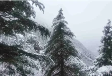 Photo of उत्तराखंड में मार्च की असामान्य बर्फबारी, जलवायु परिवर्तन और पश्चिमी विक्षोभ का असर