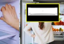 Photo of गर्मी में ठंडक और बचत दोनों चाहिए? ये आसान स्टेप्स आपके AC और फ्रिज को बनाएंगे परफेक्ट!