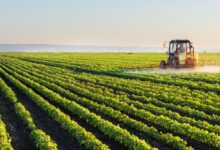 Photo of Agriculture University in India : एग्रीकल्चर में बनाना है करियर? जानिए भारत की टॉप कृषि यूनिवर्सिटीज