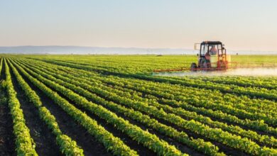 Photo of Agriculture University in India : एग्रीकल्चर में बनाना है करियर? जानिए भारत की टॉप कृषि यूनिवर्सिटीज