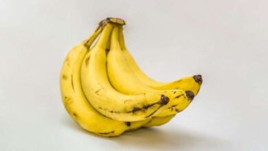 Photo of सूरज की रोशनी से जुड़ा है केले के टेढ़े होने का रहस्य, जानिए पूरी कहानी