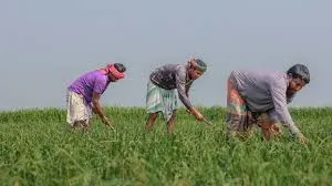 Photo of 6 अप्रैल तक किसान अलर्ट: जानें अगले 4 दिन के मौसम से बचने के आसान और जरूरी उपाय