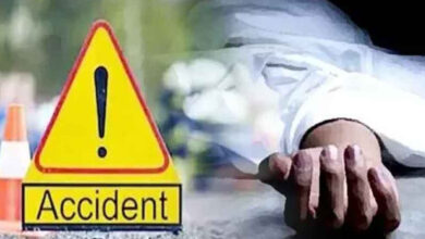 Photo of जयपुर-बांदीकुई एक्सप्रेस-वे पर भीषण सड़क हादसा, सपोटरा थाने के SI की मौत, 2 कॉन्स्टेबल घायल
