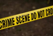 Photo of Jharkhand News : जंगल में महिला का अधजला शव मिलने से मचा हड़कंप, फॉरेंसिक टीम कर रही जांच