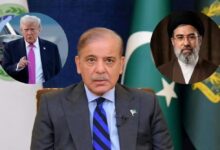 Photo of पाकिस्तान की भूमिका पर ईरान ने जताई आपत्ति, कहा- पाकिस्तान मध्यस्थ के लायक नहीं, डिटेल में पढ़ें