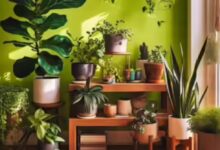 Photo of Plant Care Tips : घर लाते ही मुरझा जाते हैं पौधे, एक्सपर्ट ने बताए बचाने के तरीके