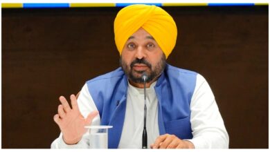 Photo of ऑस्ट्रेलिया से डिपोर्ट किए जा रहे हमारे अपने लोग हैं जिन्हें धोखेबाज एजेंटों ने गुमराह किया और वे विदेश चले गए थे: भगवंत सिंह मान