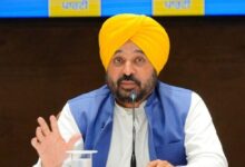 Photo of केंद्र ने सीमावर्ती जिलों के डीसीज़ को अंतरराष्ट्रीय सीमा के पास बाड़ लगाने के निर्देश जारी किए- मुख्यमंत्री भगवंत सिंह मान