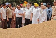 Photo of Punjab News : गेहूं खरीद में तेजी, किसानों को अब तक 1818.31 करोड़ रुपये का भुगतान- लाल चंद कटारूचक