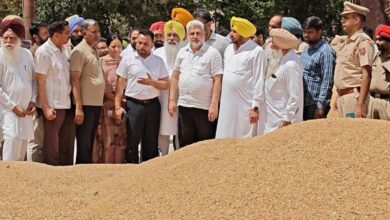 Photo of Punjab News : गेहूं खरीद में तेजी, किसानों को अब तक 1818.31 करोड़ रुपये का भुगतान- लाल चंद कटारूचक