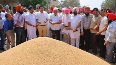 Photo of पंजाब का केंद्रीय भंडार में 122 लाख मीट्रिक टन का योगदान, खराब मौसम के बावजूद मजबूत प्रदर्शन
