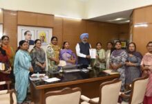 Photo of पंजाब सरकार सक्रिय, आशा वर्करों के मानदेय बढ़ाने के लिए केंद्र से समन्वय के निर्देश