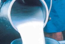 Photo of मिल्कफेड पंजाब द्वारा दूध की खरीद कीमत में वृद्धि, डिटेल में पढ़ें