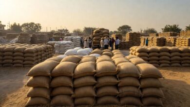 Photo of पंजाब में गेहूं खरीद ने पकड़ी रफ्तार, पटियाला-बठिंडा और फिरोजपुर टॉप जिलों में शामिल