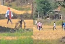 Photo of “पगड़ी पहने दूल्हे की भागमभाग, पीछे-पीछे दौड़ते बाराती- वायरल वीडियो”