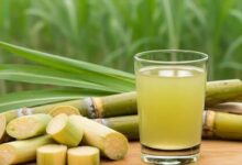 Photo of गर्मी की प्राकृतिक एनर्जी ड्रिंक गन्ने का रस, सेहत और इम्युनिटी बढ़ाने में बेहद फायदेमंद