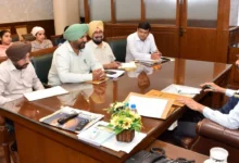 Photo of अब बागबानी क्षेत्र को मिलेगी नई रफ्तार, मोहिंदर भगत ने दिए बड़े पैमाने पर फलदार पौधे तैयार करने के निर्देश
