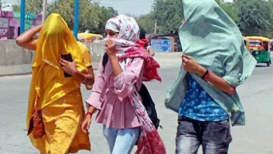 Photo of भीषण गर्मी से बचाव के आसान उपाय: धूप और लू से ऐसे रखें खुद को सुरक्षित