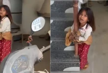 Photo of अमरूद तोड़ने की सजा: पूर्व-सैनिक ने मासूम बच्ची को चेन से बांधकर बेरहमी से पीटा