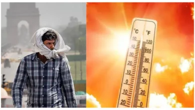 Photo of दिल्ली-NCR में भीषण गर्मी का कहर, दिन में लू और रात में उमस से जनजीवन प्रभावित