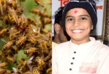 Photo of परीक्षा के दौरान स्कूल में मधुमक्खियों का हमला, एक छात्र की मौत, आधा दर्जन से अधिक घायल