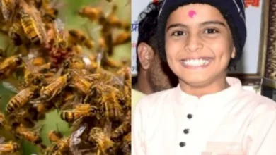 Photo of परीक्षा के दौरान स्कूल में मधुमक्खियों का हमला, एक छात्र की मौत, आधा दर्जन से अधिक घायल