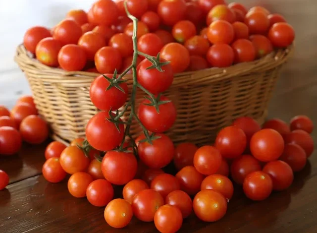 Tomato Prices in America :