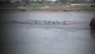 Photo of वृंदावन नाव हादसे पर PM मोदी ने जताया दुख, मुआवजे का ऐलान