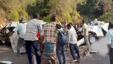 Photo of तमिलनाडु में दर्दनाक हादसा: पर्यटकों से भरी वैन खाई में गिरी, 10 की मौत