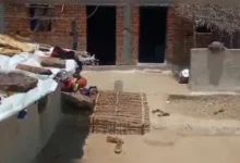 Photo of मां ने तीन मासूम बेटियों के साथ खाया जहर, चारों की मौत से इलाके में पसरा मातम