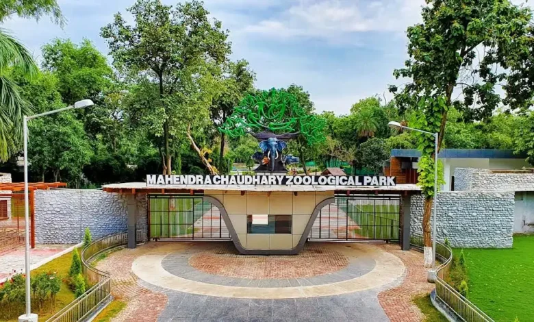 Chhatbir Zoological Park